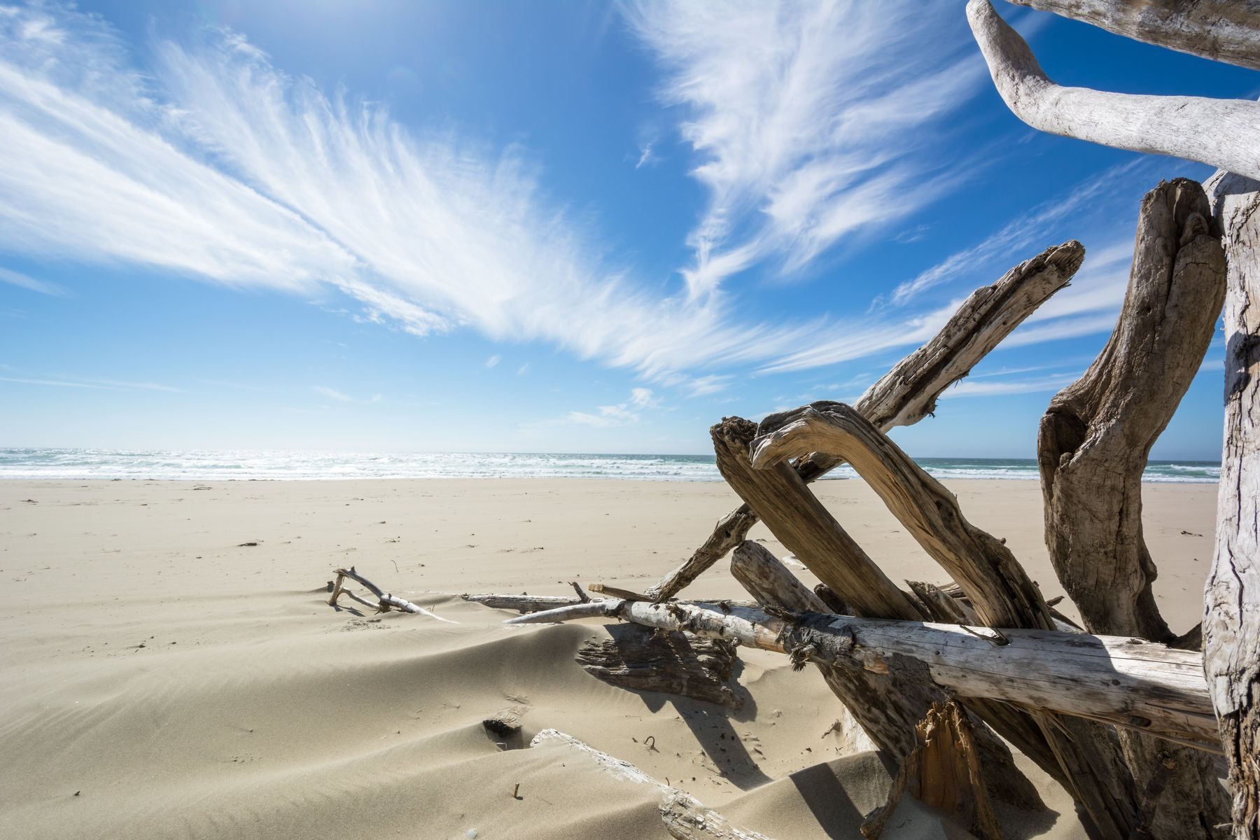 Treibholz an einem sonnigen Sandstrand unter blauem Himmel mit Schleierwolken